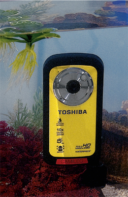 Пустующую нишу всепогодных видеокамер для активного отдыха заняла Toshiba. Ее моделями можно снимать даже под водой.